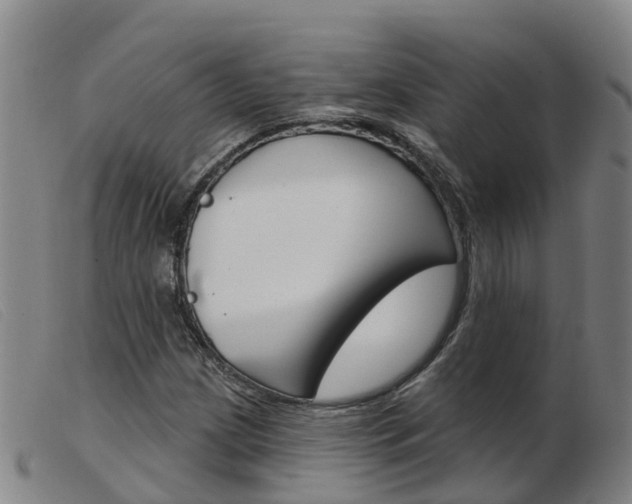 X0000103951209200809191203