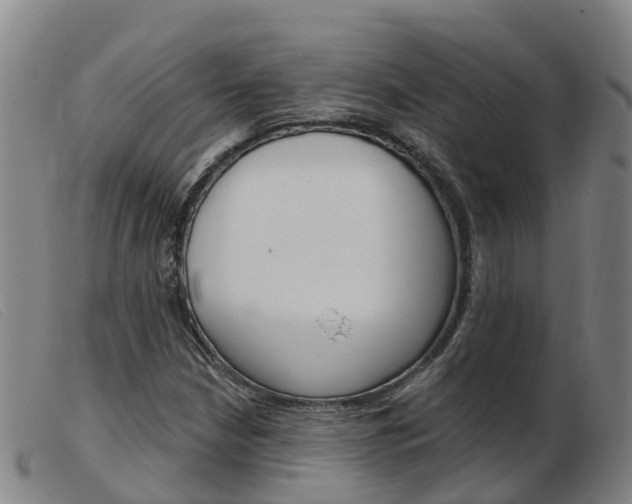 X0000103951210200809191203
