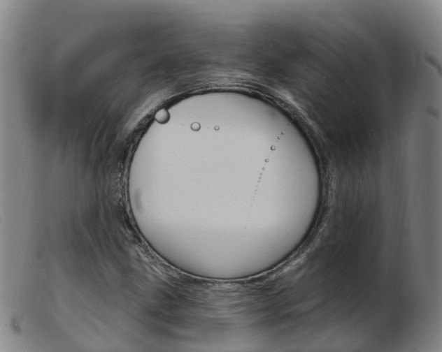 X0000103951211200809191203