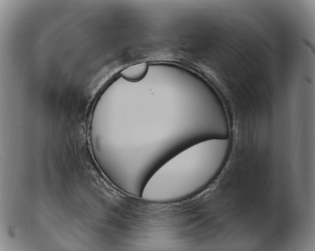 X0000103951212200809191203