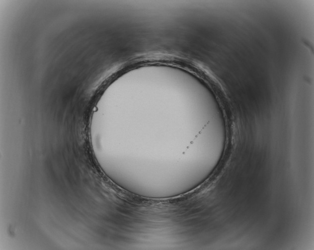 X0000103951213200809191203