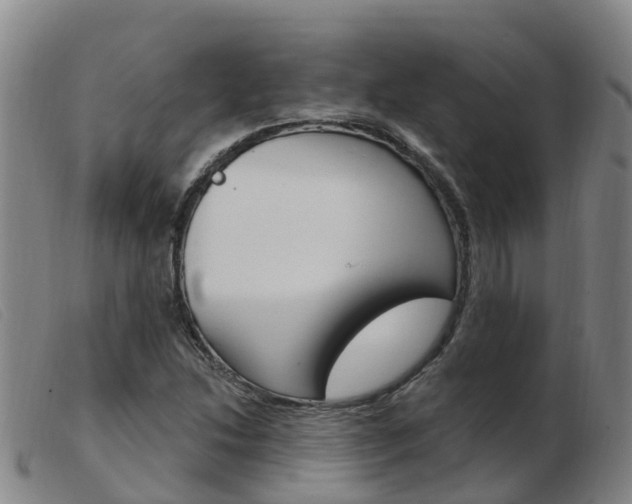 X0000103951214200809191203