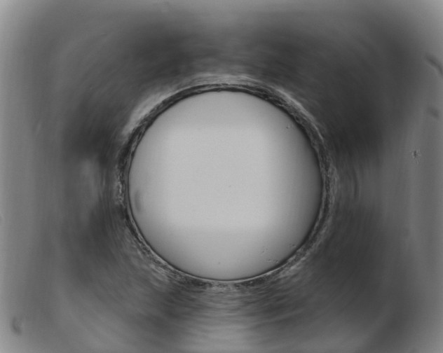 X0000103951215200809191203