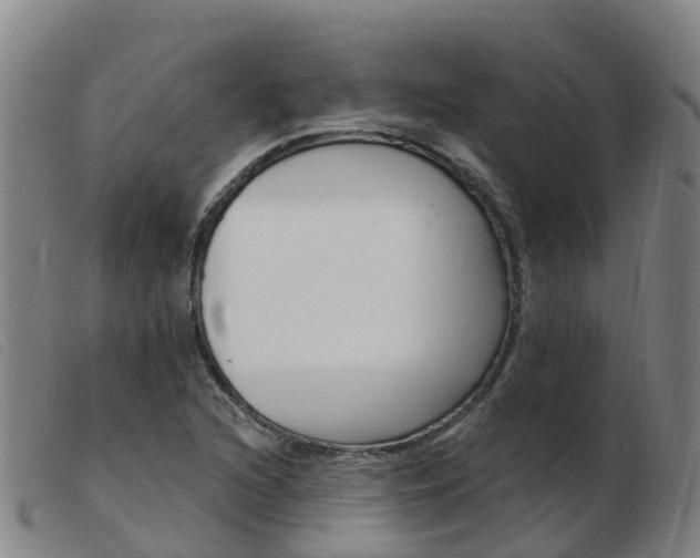 X0000103951216200809191203