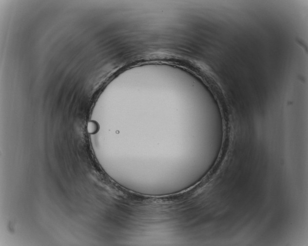 X0000103951217200809191203