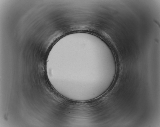 X0000103951218200809191203