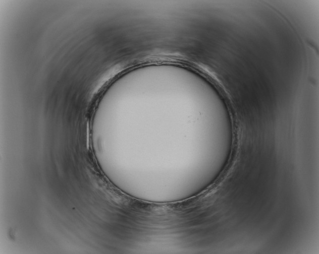 X0000103951219200809191203
