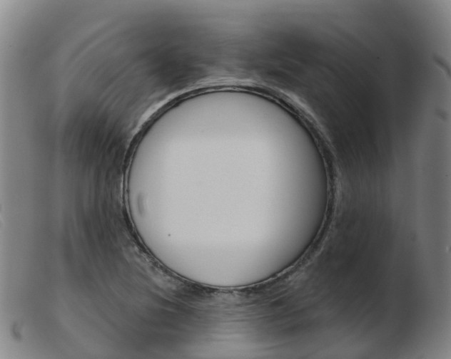 X0000103951220200809191203