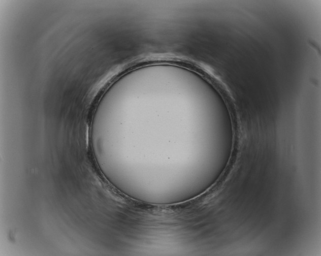 X0000103951221200809191203