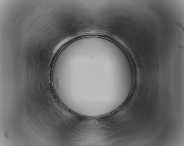 X0000103951222200809191203