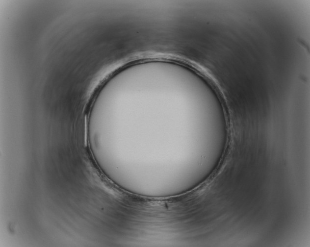 X0000103951223200809191203