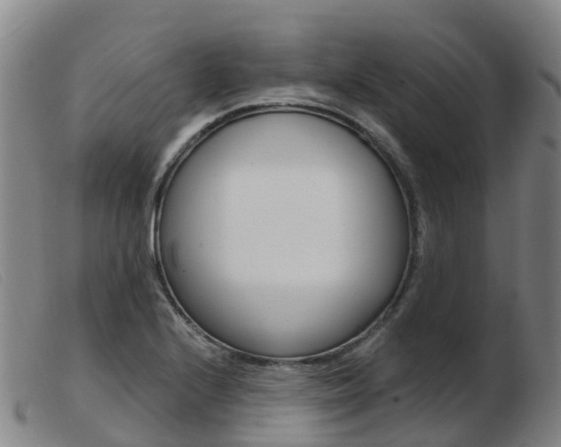 X0000103951224200809191203
