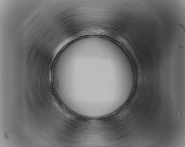 X0000103951226200809191203