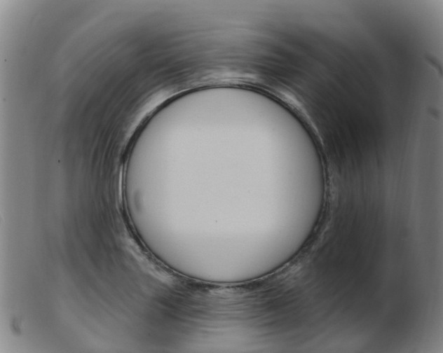 X0000103951227200809191203