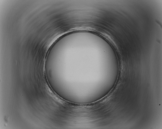 X0000103951228200809191203