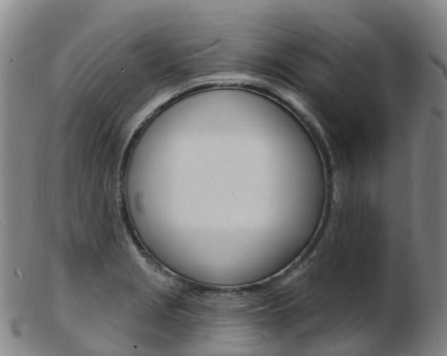 X0000103951229200809191203