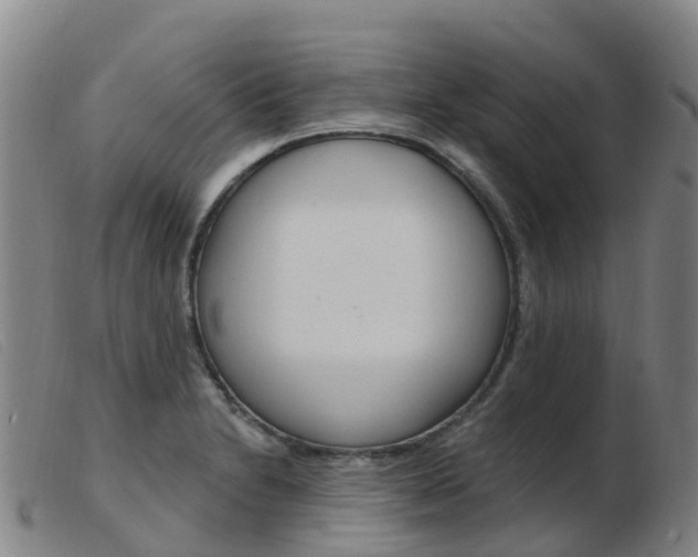 X0000103951230200809191203