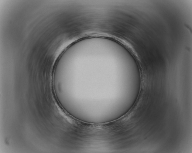 X0000103951231200809191203