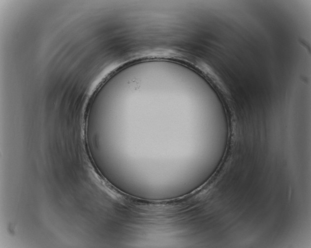 X0000103951232200809191203