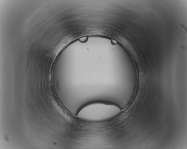 X0000103951234200809191203