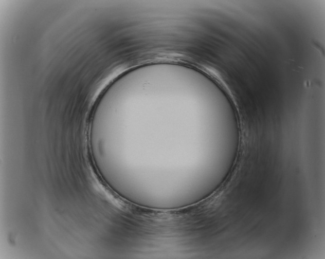 X0000103951235200809191203
