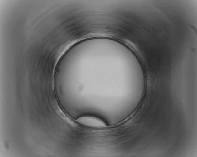 X0000103951236200809191203
