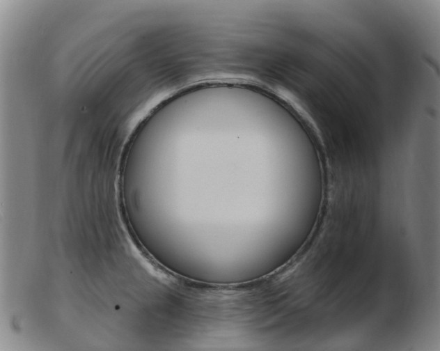 X0000103951237200809191203