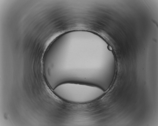 X0000103951238200809191203
