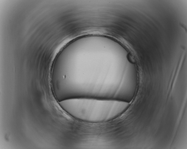 X0000103951240200809191204