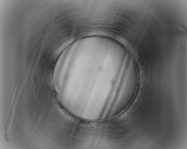 X0000103951241200809191204