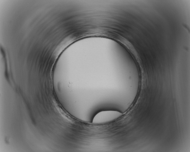 X0000103951242200809191204