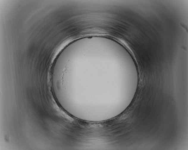 X0000103951243200809191204