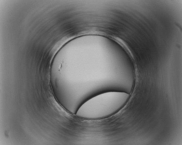 X0000103951244200809191204