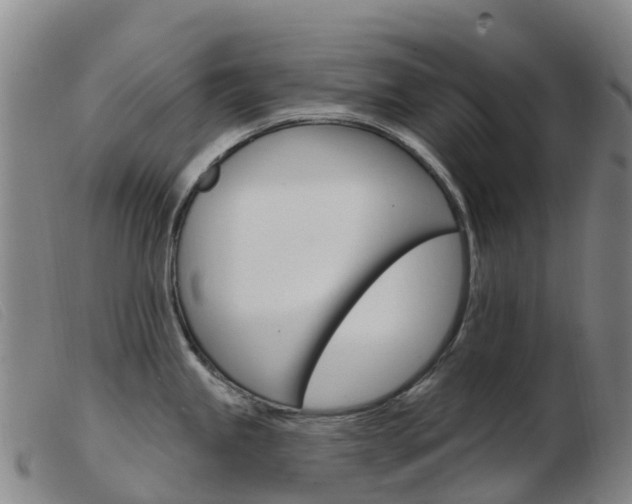 X0000103951245200809191204