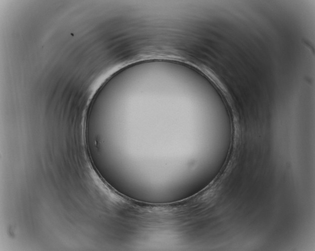 X0000103951246200809191204
