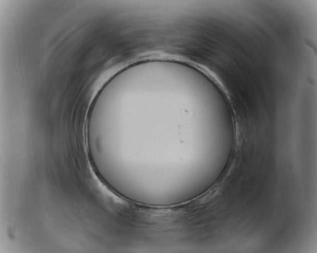 X0000103951247200809191204