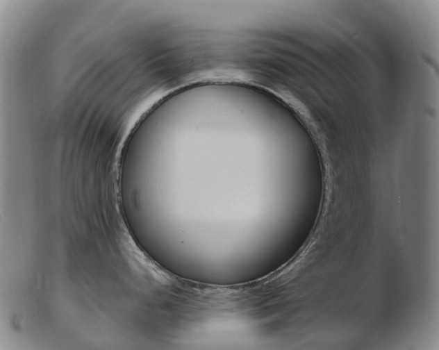 X0000103951248200809191204