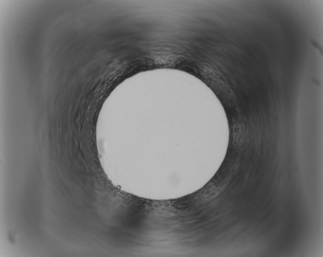 X0000103951249200809191203