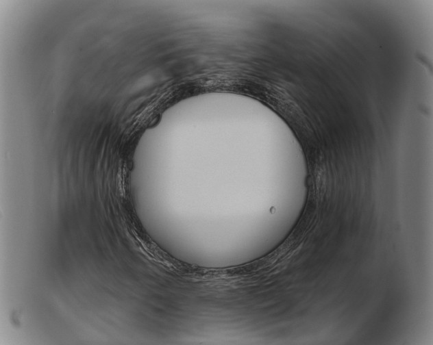 X0000103951250200809191203