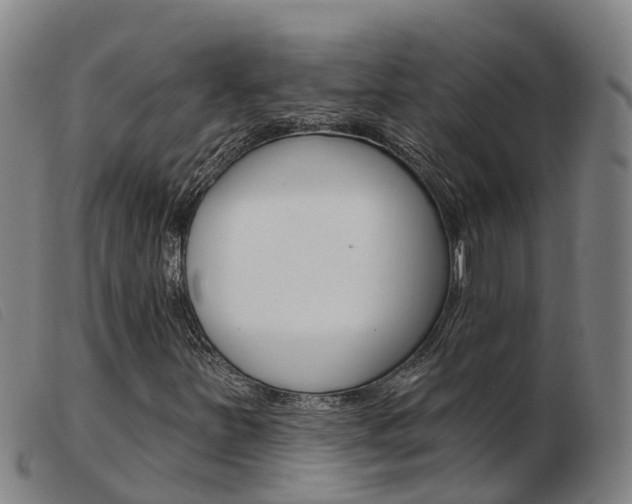 X0000103951251200809191203