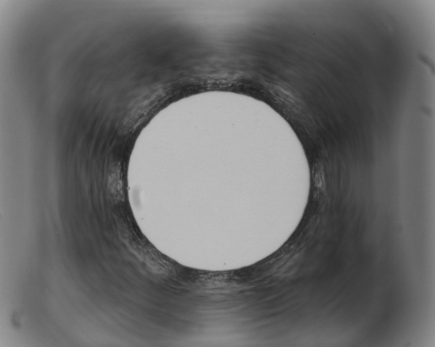 X0000103951252200809191203