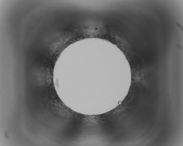 X0000103951253200809191203