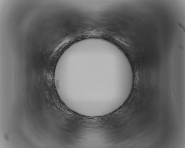 X0000103951254200809191203