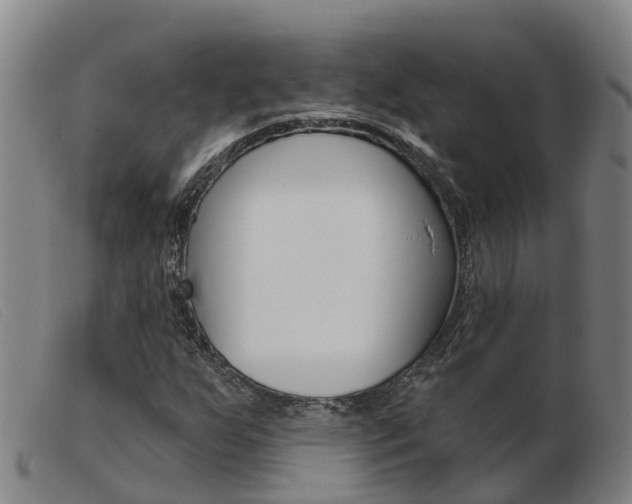 X0000103951255200809191203