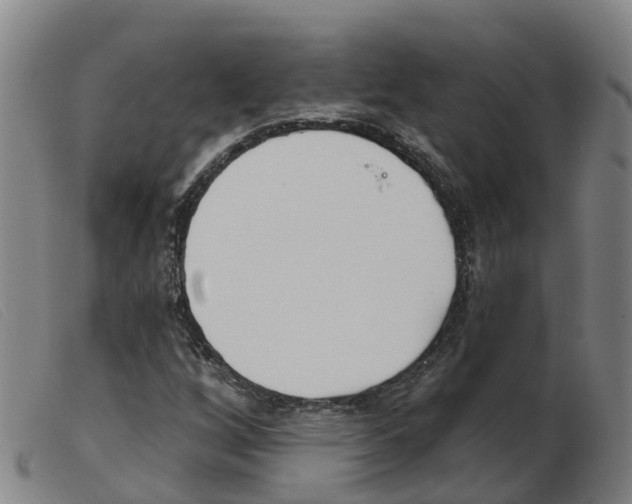 X0000103951256200809191203