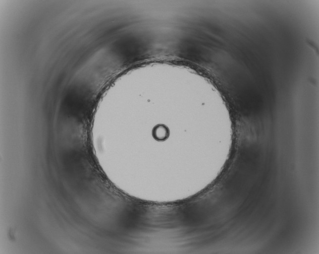 X0000103951257200809191203