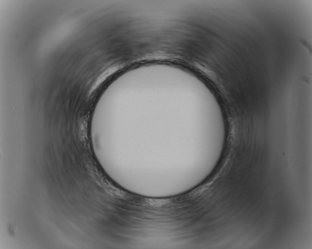 X0000103951258200809191203