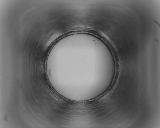 X0000103951259200809191203