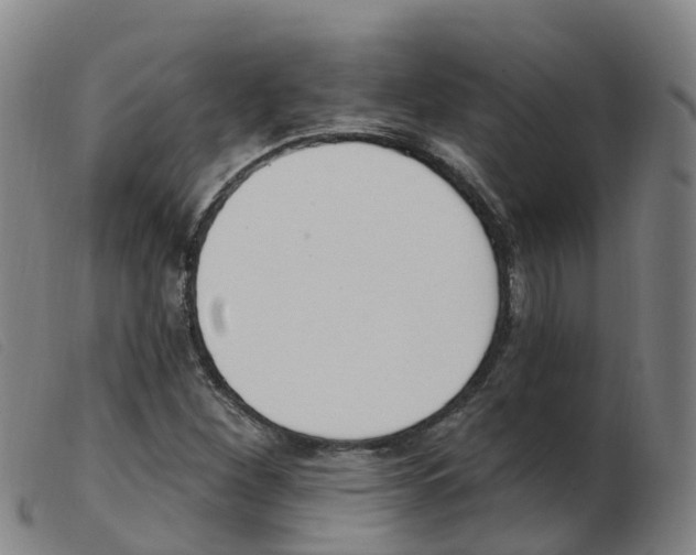 X0000103951260200809191203