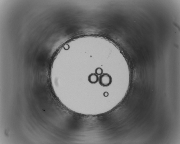 X0000103951261200809191203